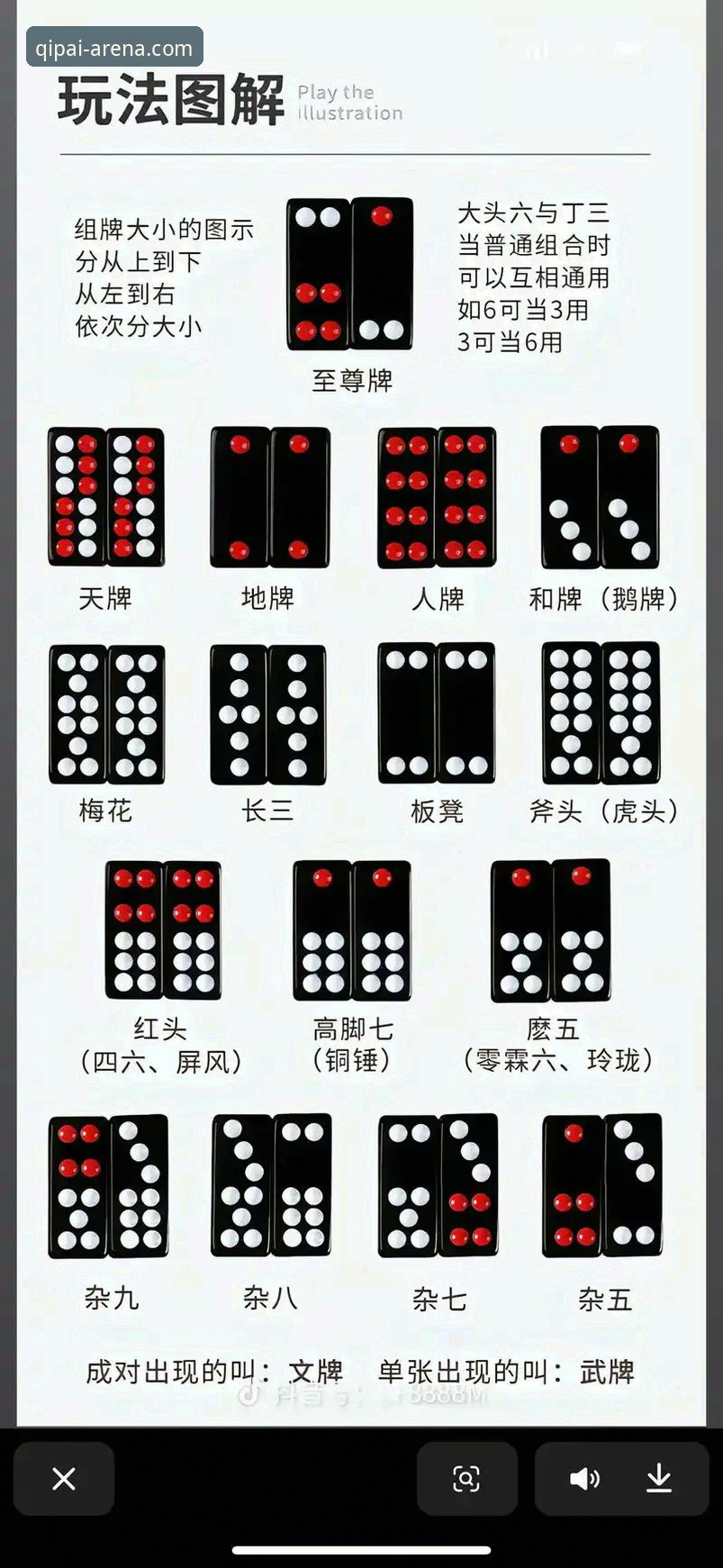 9棋牌娱乐新手必看：iOS版与安卓版下载安装完整指南